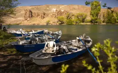 Fly Fishing in Patagonia: how, what for and when?